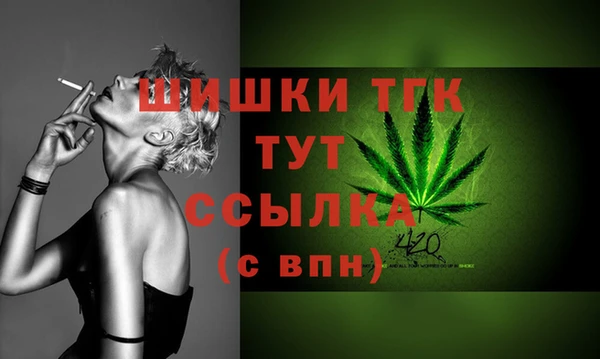 прущие грибы Гатчина