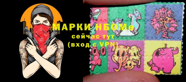 прущие грибы Гатчина